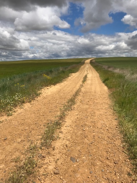 Pensamientos de julio: pensar en agradecer…