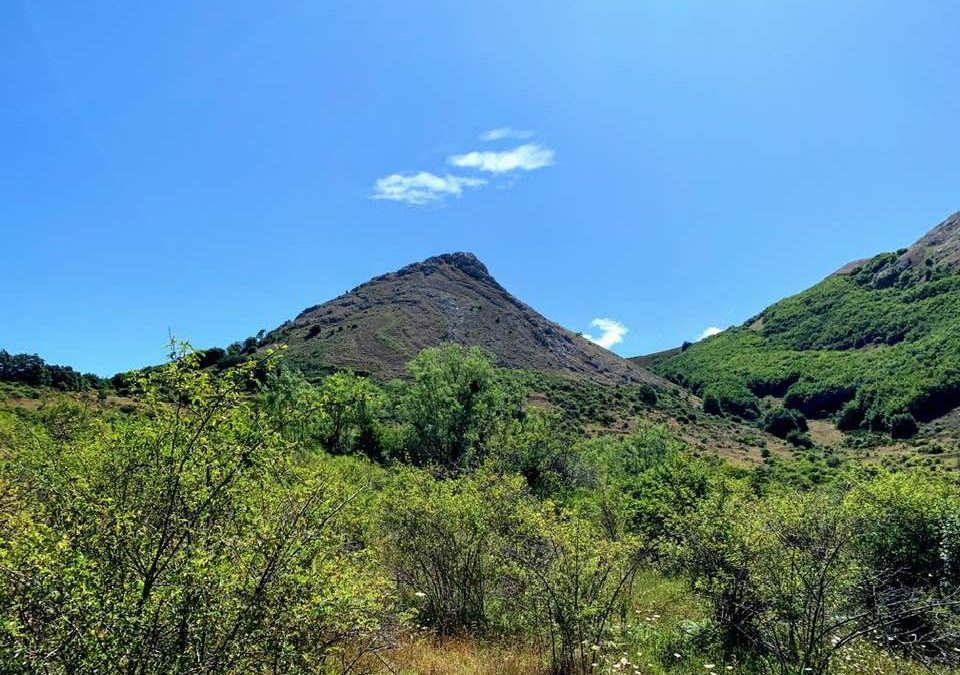 Pensamientos de julio: proyectaros cada vez más hacia delante