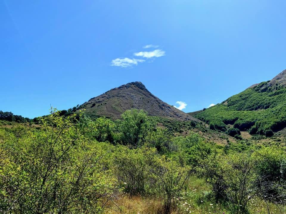 Pensamientos de julio: proyectaros cada vez más hacia delante
