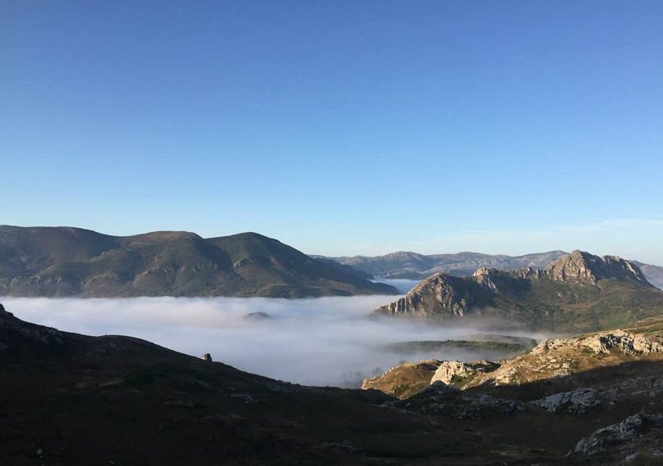 Pensamientos de agosto: proyectar para el bien del mundo entero