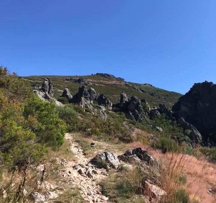 Pensamientos de agosto: la luz del espíritu