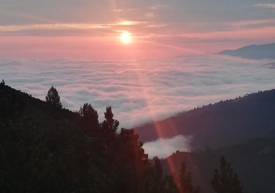 Pensamientos de agosto: mantener la llama de la vida