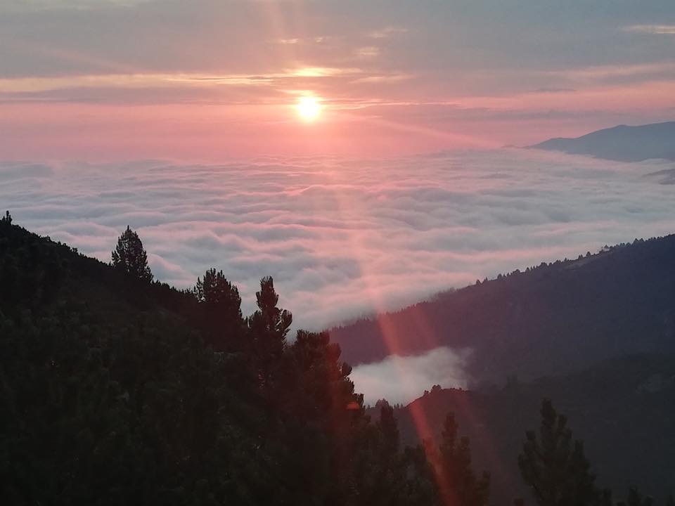 Pensamientos de agosto: mantener la llama de la vida