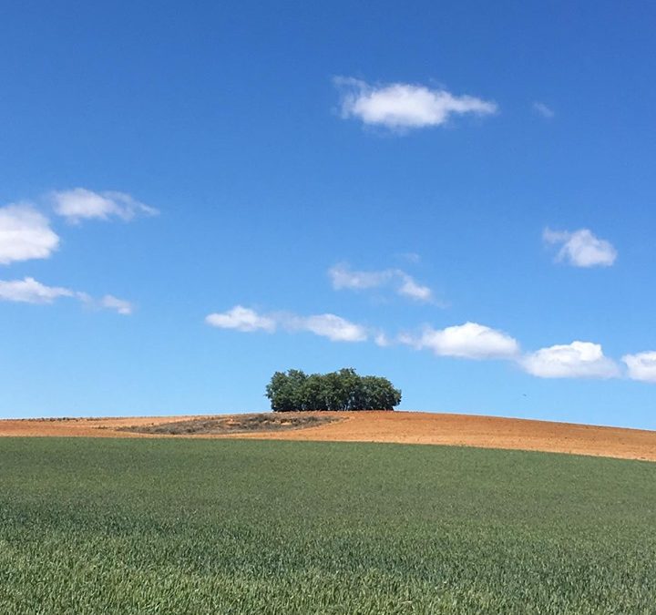 Pensamientos de agosto: aquel que piensa en el infinito…