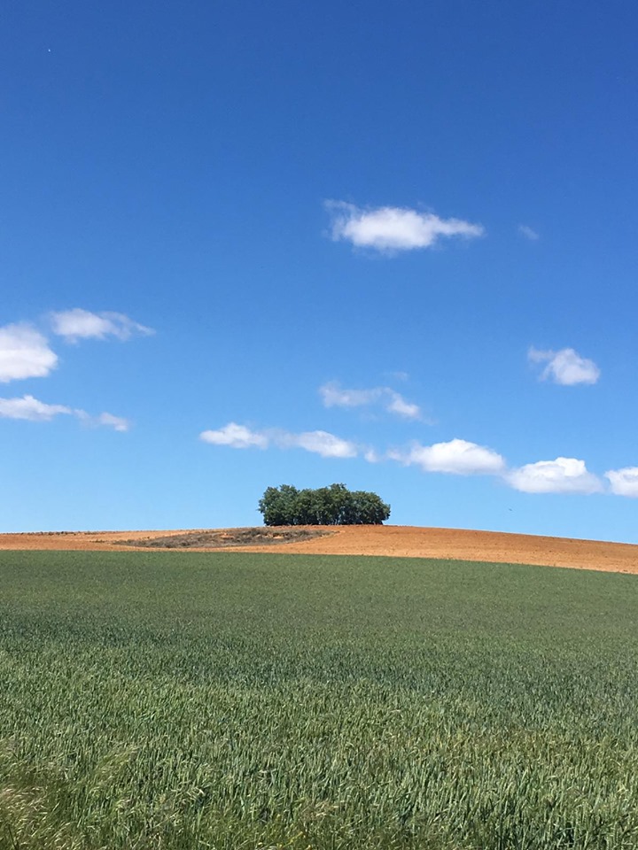 Pensamientos de agosto: aquel que piensa en el infinito…