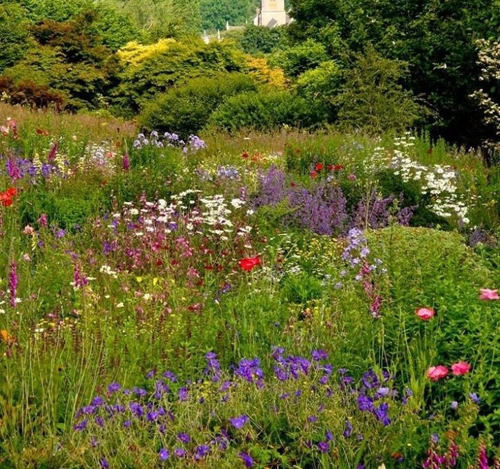 Pensamientos de agosto: esa palabra interior que es real, poderosa, mágica..