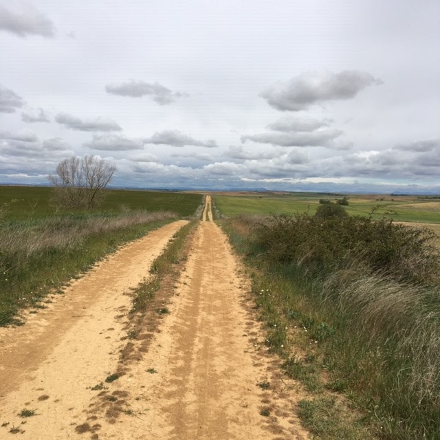 Pensamientos de agosto: el Templo de Dios