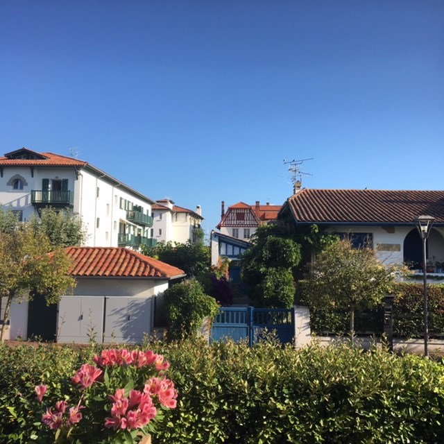 Pensamientos de septiembre: buscar la luz y la sabiduría