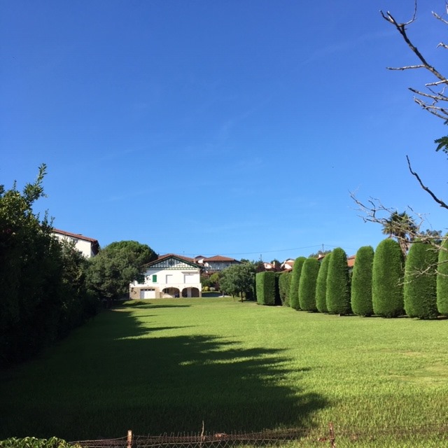 Pensamientos de septiembre: recibís una luz, una gracia del Cielo…