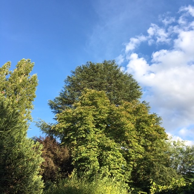 Pensamientos de septiembre: hacer de este día un eslabón sólido…