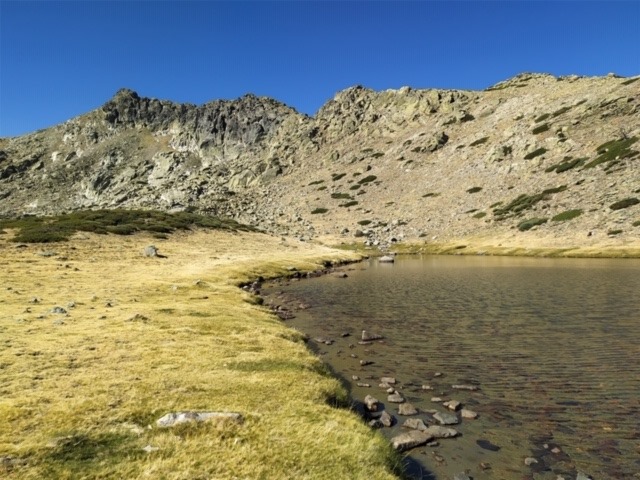 Pensamientos de septiembre: Impregnará todas las células de vuestro cuerpo…