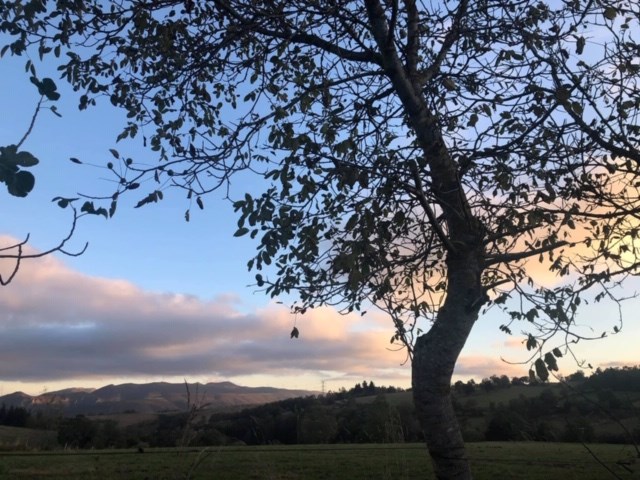 Pensamientos de septiembre: dais sin esperar nada a cambio