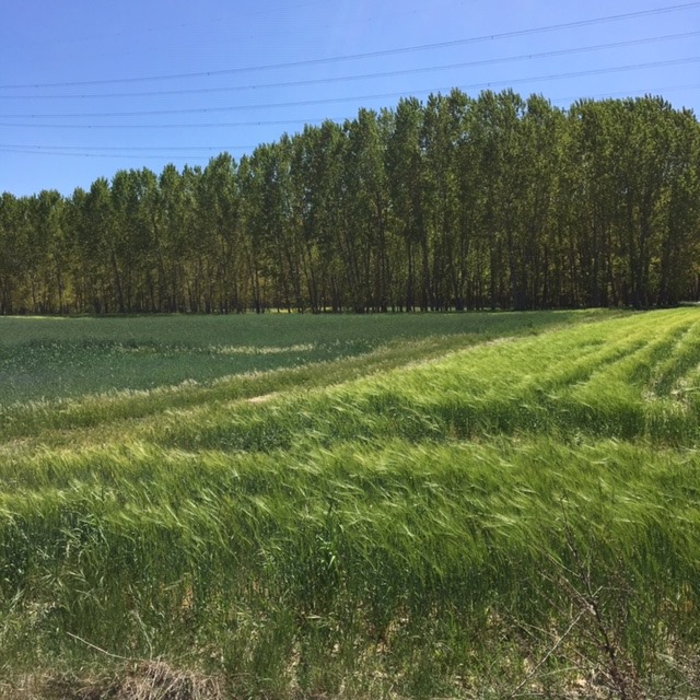 Pensamientos de octubre: proyectar rayos de luz y de amor sobre todas las criaturas