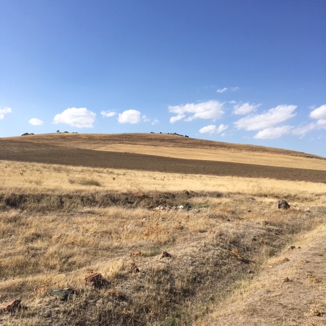 Pensamientos de octubre: así nunca envejeceréis…