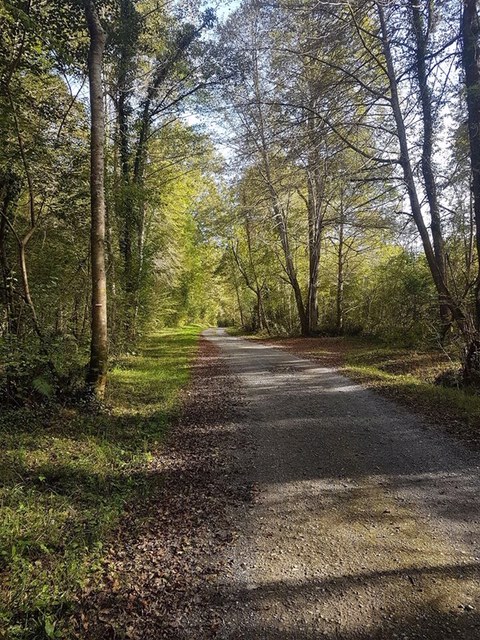 Pensamientos de octubre: habita un espíritu, una chispa, un ser indescriptible…
