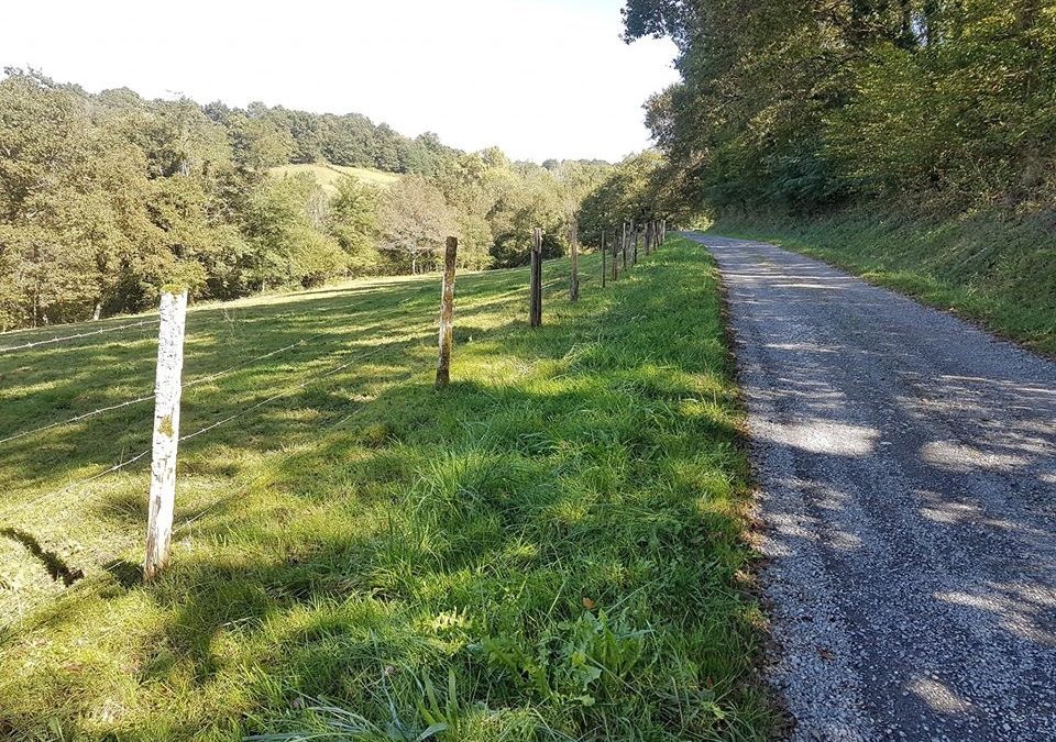 Pensamientos de octubre: el mundo entero cantaba…