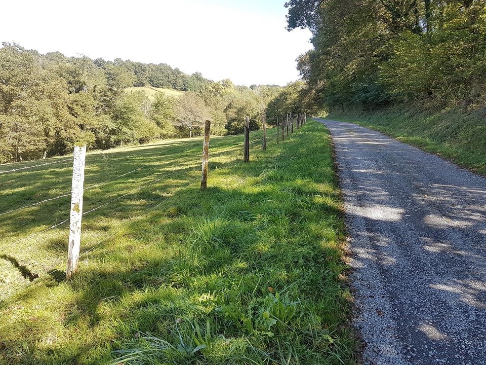 Pensamientos de octubre: el mundo entero cantaba…