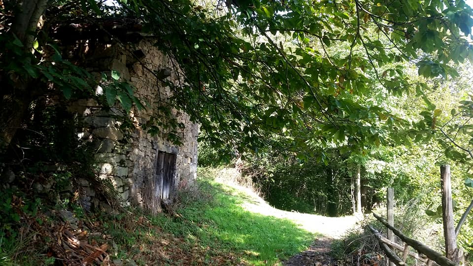 Pensamientos de octubre: una entidad que sólo pide venir a la luz