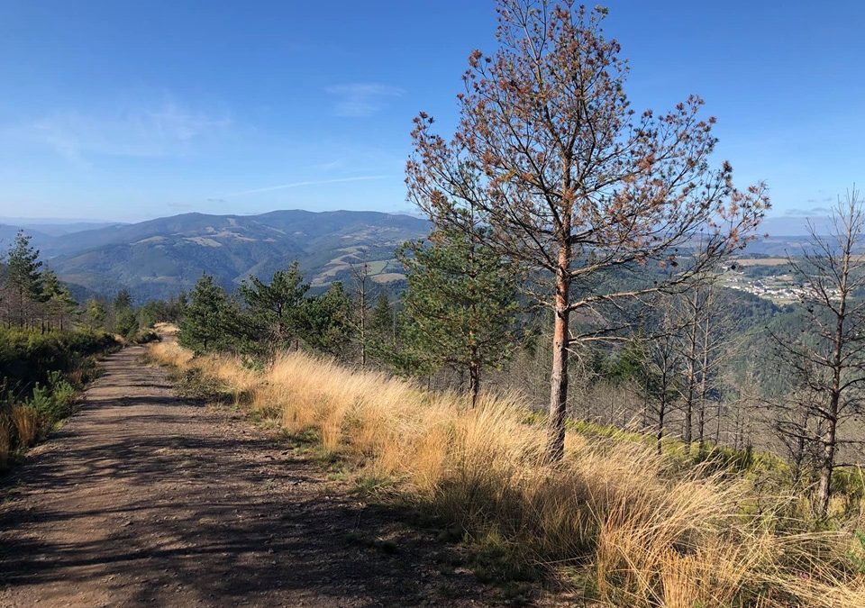 Pensamientos de octubre: habéis llamado al espíritu para que modele y esculpa vuestro ser interior