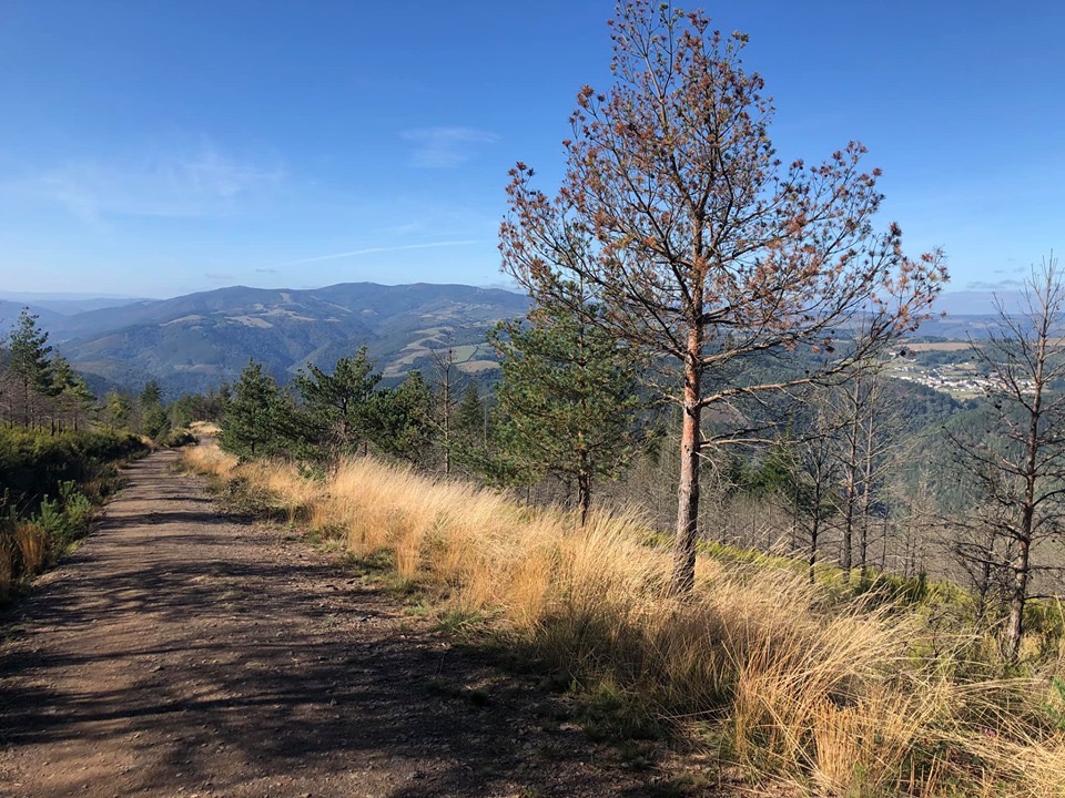 Pensamientos de octubre: habéis llamado al espíritu para que modele y esculpa vuestro ser interior