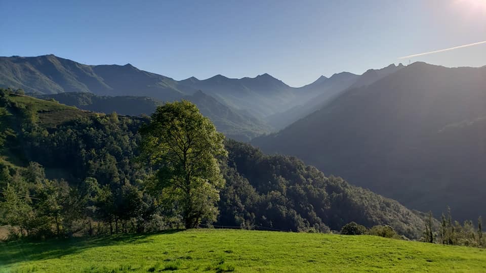 Pensamientos de noviembre: las entidades luminosas del mundo invisible vendrán a daros su luz