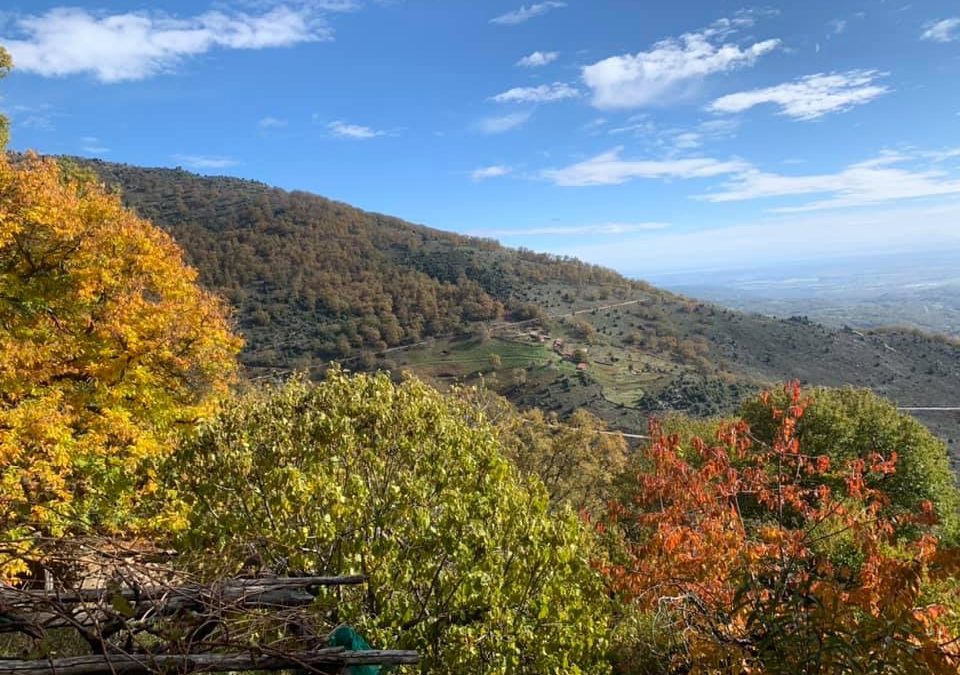 Pensamientos de noviembre: descubriréis esa presencia…