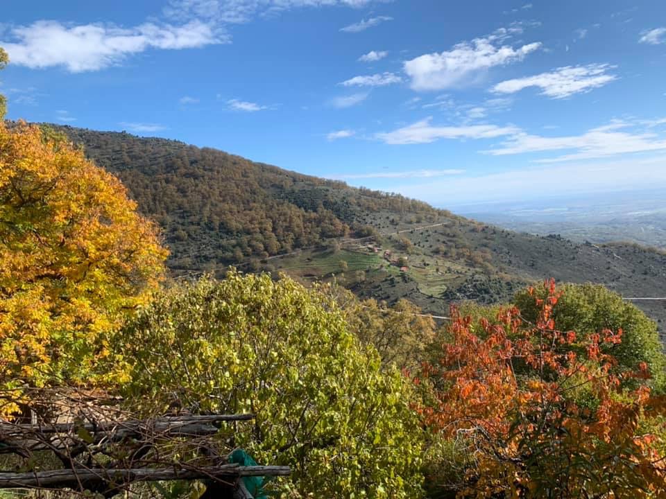 Pensamientos de noviembre: descubriréis esa presencia…