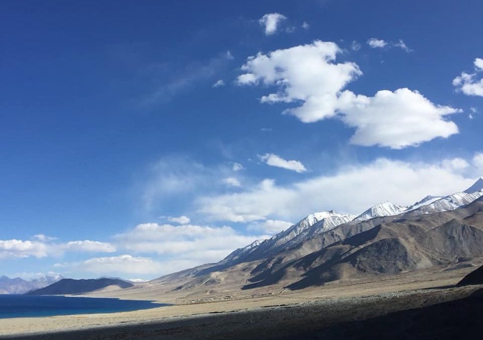 Pensamientos de noviembre: enviarles luz para que encuentren la paz…