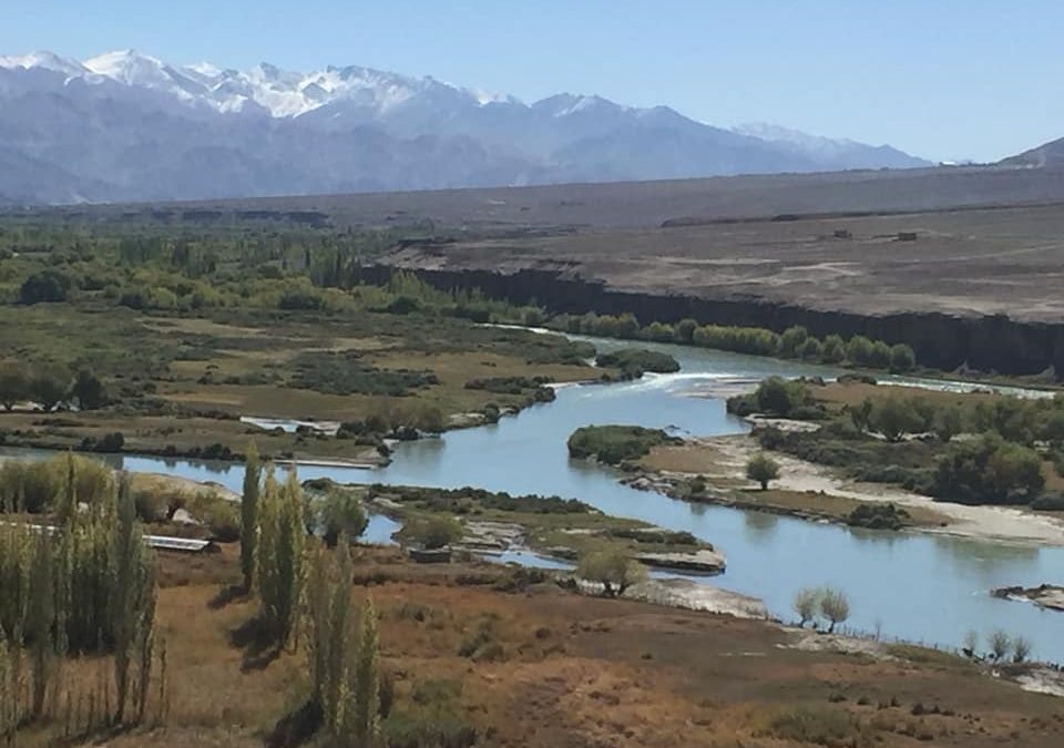 Pensamientos de noviembre: nunca es demasiado tarde…