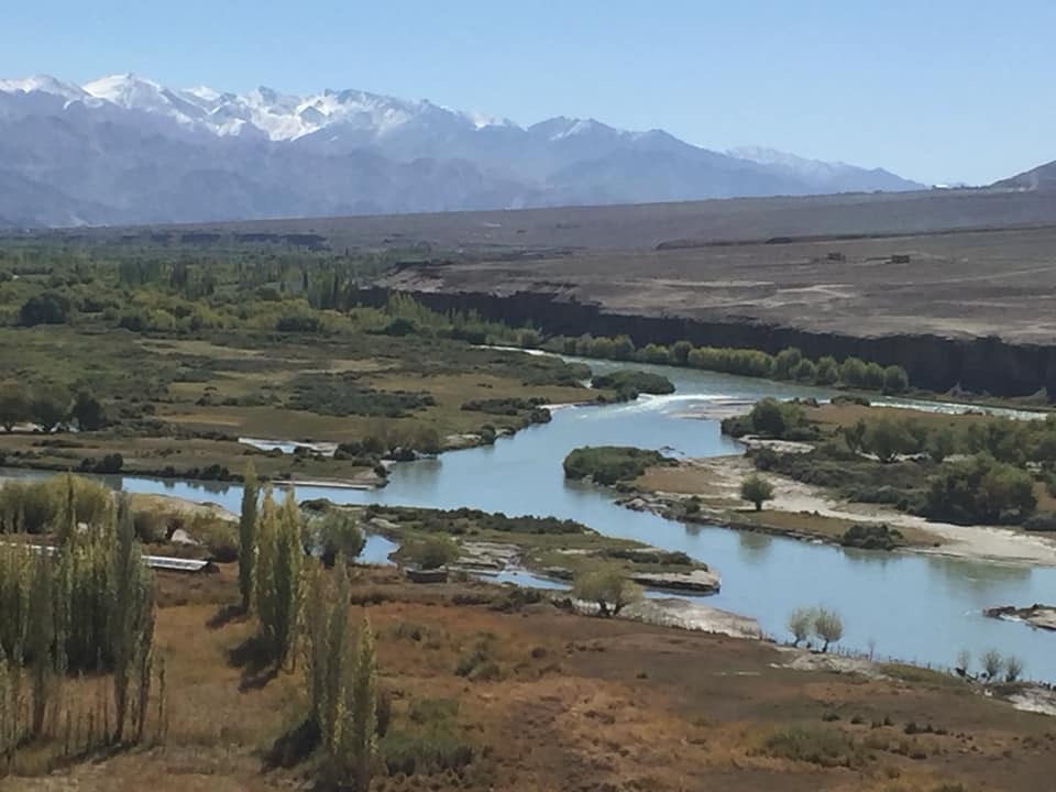 Pensamientos de noviembre: nunca es demasiado tarde…