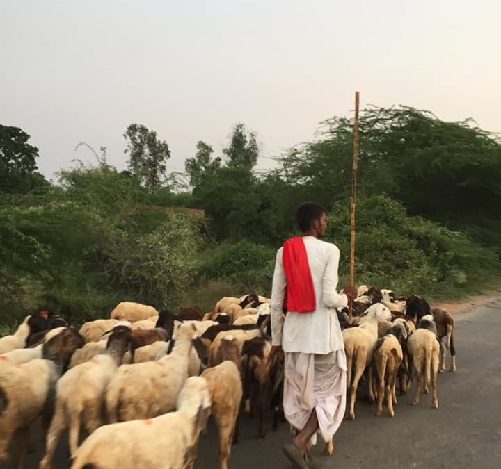 Pensamientos de noviembre: lo preciosos que son estos momentos…