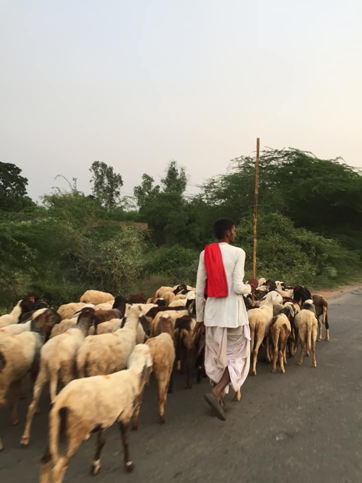 Pensamientos de noviembre: lo preciosos que son estos momentos…