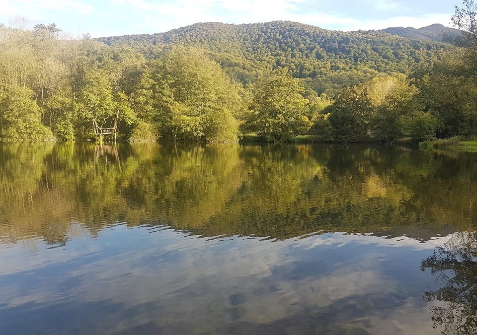 Pensamientos de noviembre: pensamientos más justos, más nobles y más desinteresados…