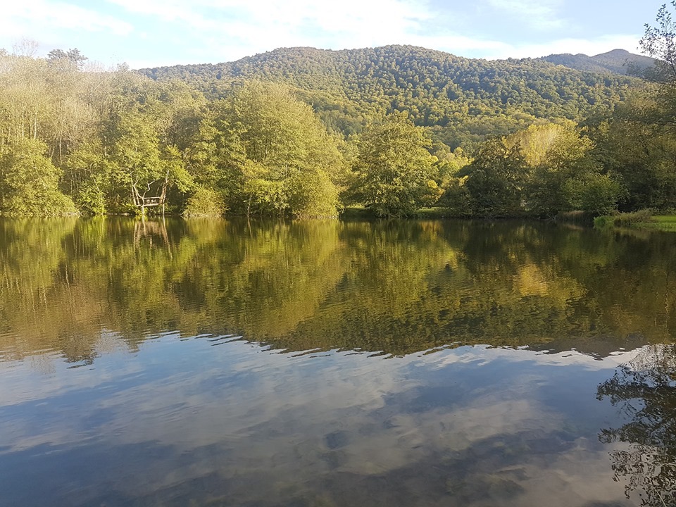 Pensamientos de noviembre: pensamientos más justos, más nobles y más desinteresados…