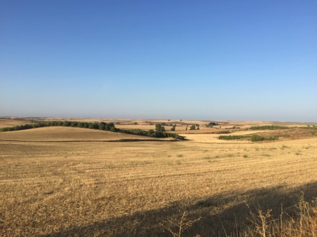 Pensamientos de diciembre:  el poder del pensamiento