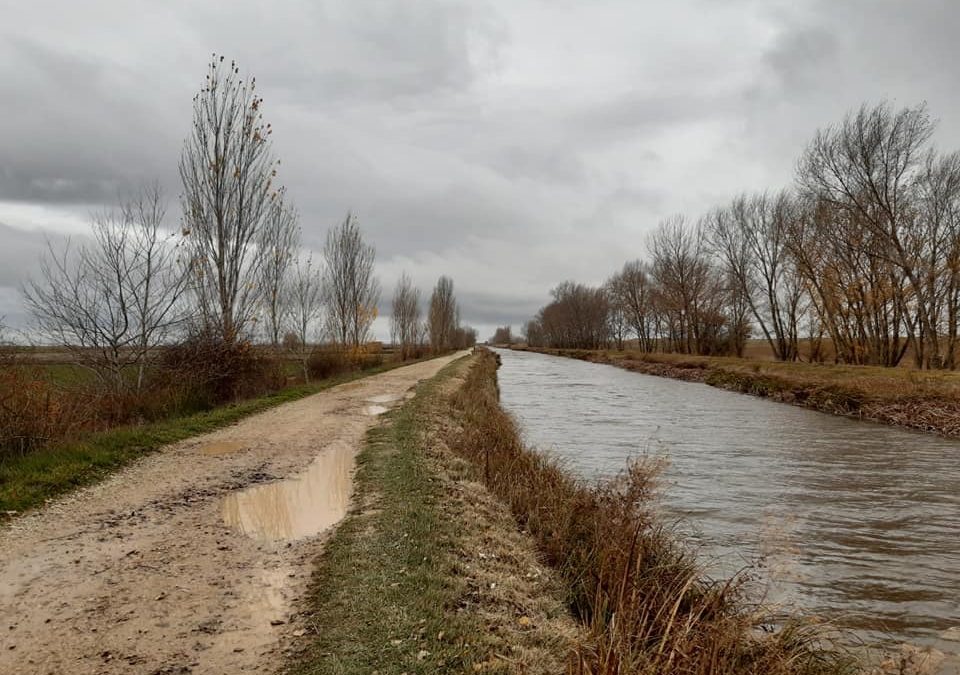 Pensamientos de diciembre: atraer a los amigos del mundo invisible
