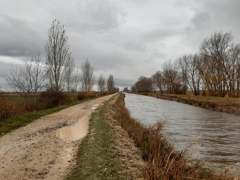 Pensamientos de diciembre: atraer a los amigos del mundo invisible