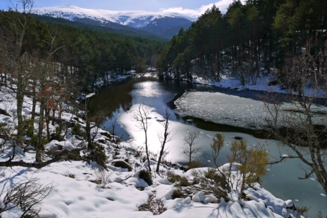 Pensamientos de enero: un nuevo sendero es revelado…