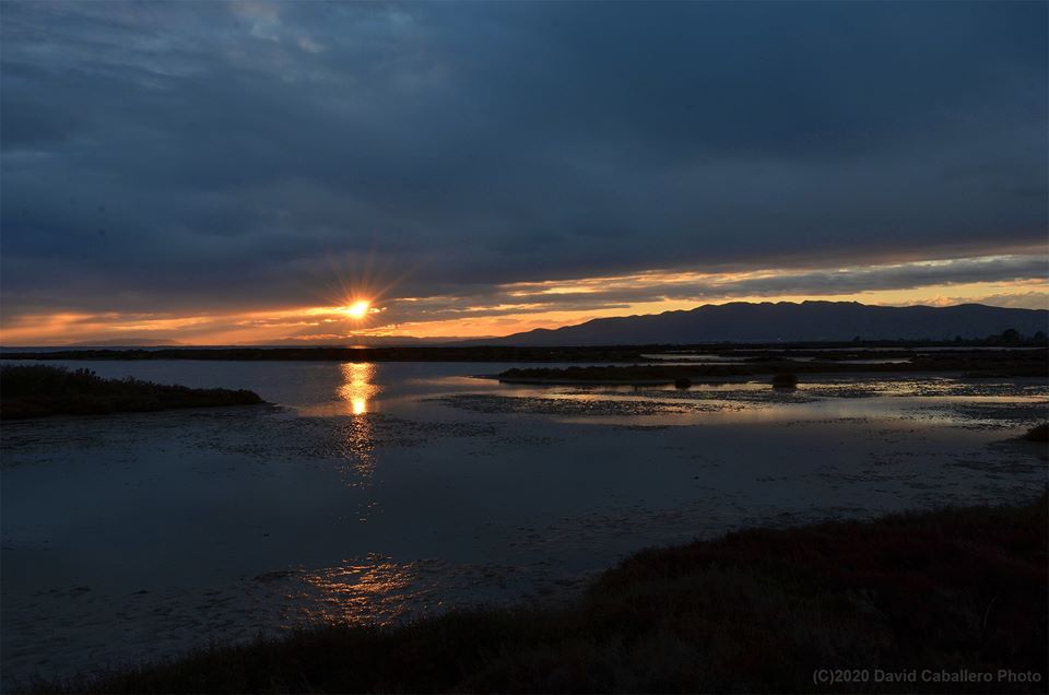 Pensamientos de enero: una voz que empieza a hablaros…