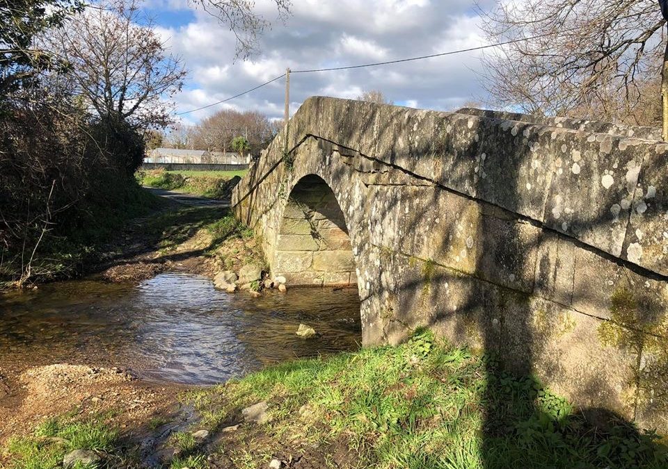Pensamientos de enero: trabajar por la unidad