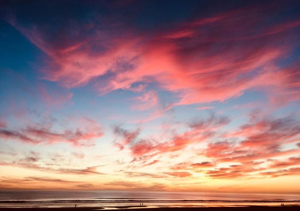 Pensamientos de enero: Los pastores han recibido las revelaciones