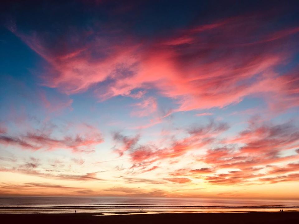 Pensamientos de enero: Los pastores han recibido las revelaciones