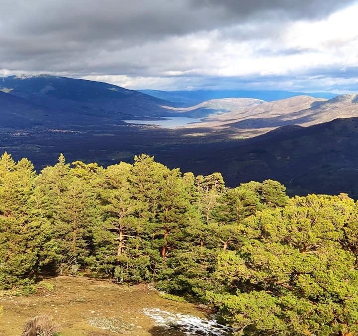 Pensamientos de febrero: callarse…