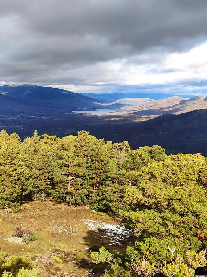 Pensamientos de febrero: callarse…