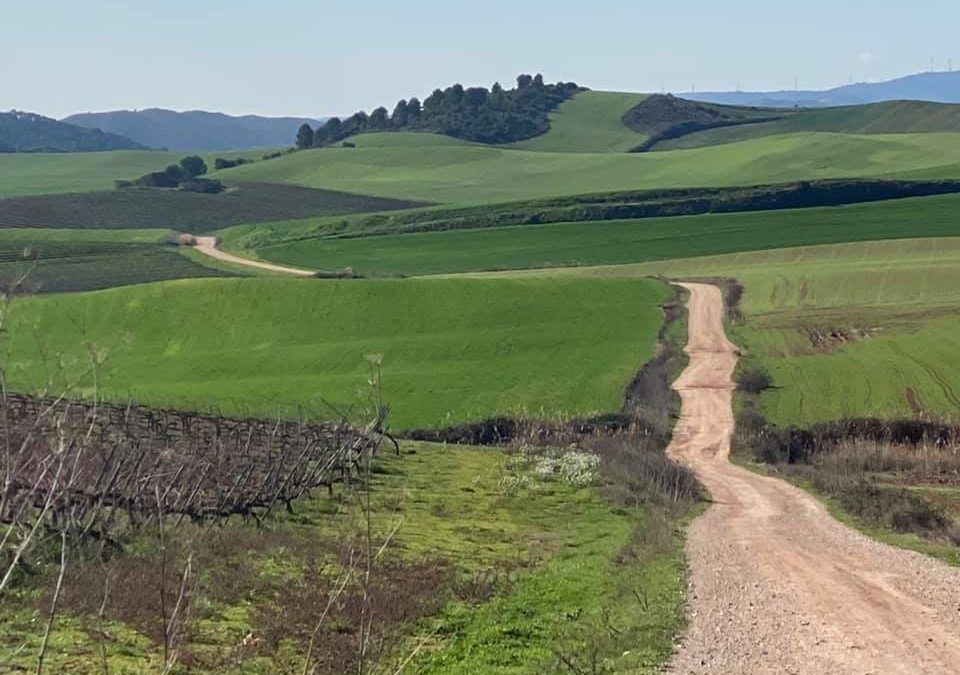 Pensamientos de febrero: pensad en saludar a todas las criaturas visibles e invisibles….
