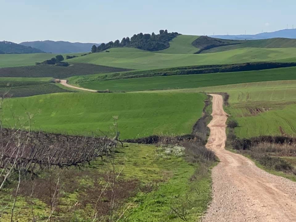 Pensamientos de febrero: pensad en saludar a todas las criaturas visibles e invisibles….