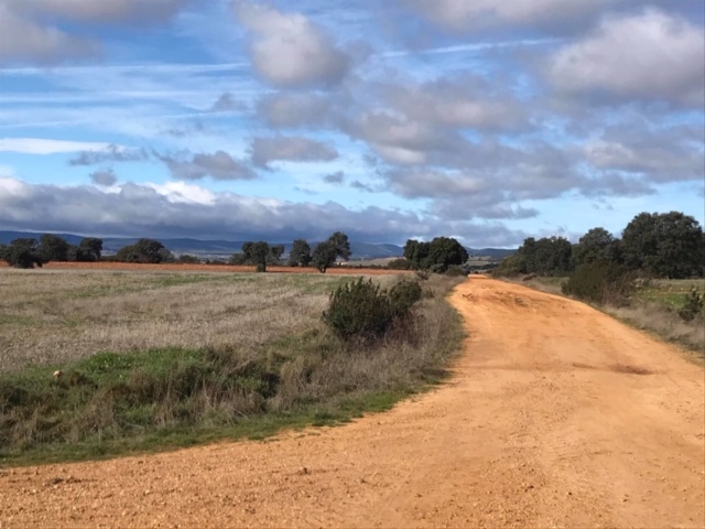 Pensamientos de febrero: hay un centro, hay un sol…