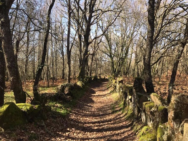 Pensamientos de febrero: visitar las regiones del mundo invisible