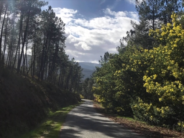 Pensamientos de febrero: recibiréis fuerzas y bendiciones…