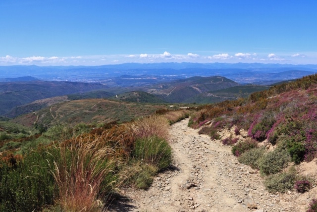 Pensamientos de febrero: trabajar para la unidad…